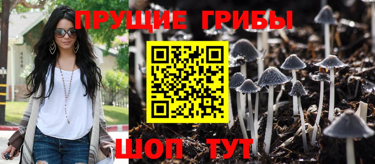 Коммунар  Галлюциногенные грибы мицелий  Псилоцибиновые грибы прущие грибы  Вход с VPN 